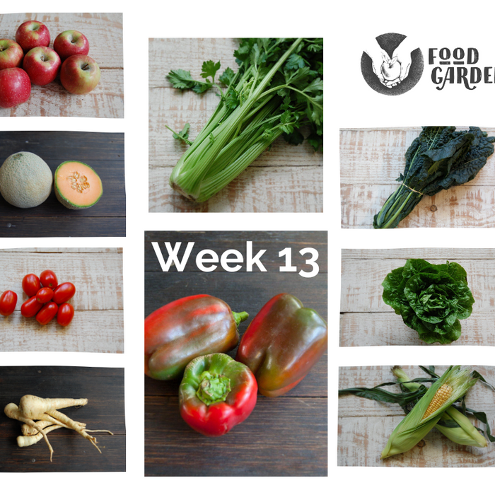 Week 13 - Red Capsicum, Sweet Corn, Celery, Sweet Potato, Cos Lettuce and Rockmelon