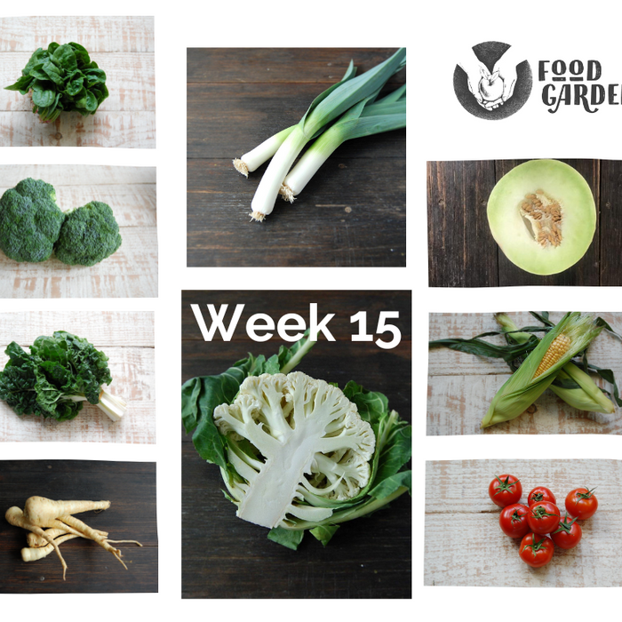 Week 15 - Brussel Sprouts, Broccoli, Cauliflower, Cabbage, Tomato, Pomegranate and Honeydew