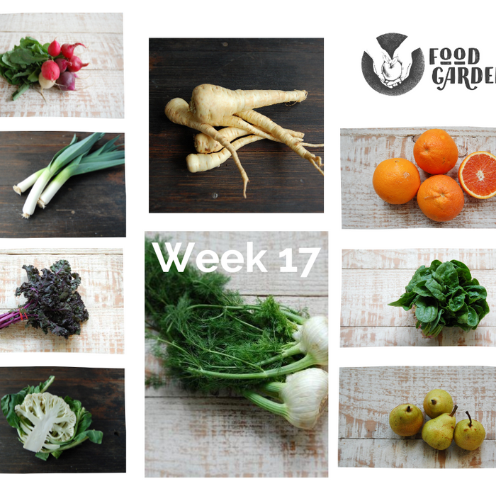 Week 17 - Fennel, Cauliflower, Broccoli, Parsnip, Radish, Pumpkin and Kohlrabi