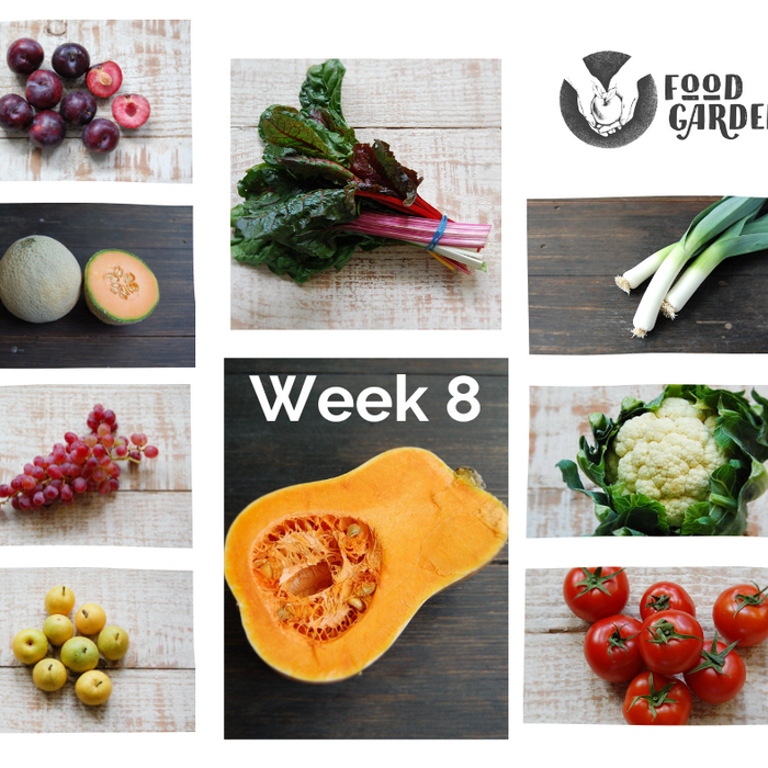 Week 8 - Red Capsicum, Butternut Pumpkin, Baby Cos Lettuce, Rainbow Chard, Cauliflower and Red Candy Plums
