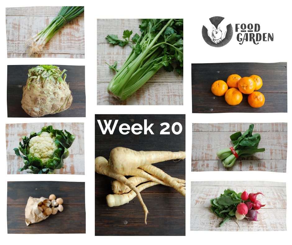 Week 20 - Parsnip, Beetroot, Celery, Baby Cos Lettuce, Broccoli, Cauliflower and Daisy Mandarins
