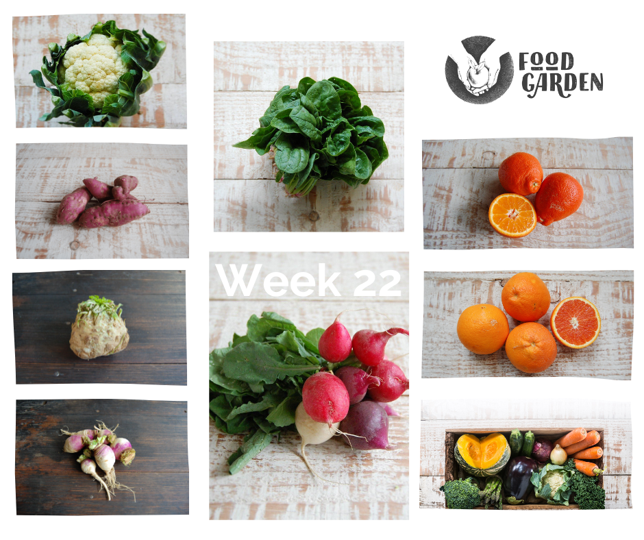 Week 22 - Celeriac, Red Sweet Potato, Turnip, Torp Pumpkin, Cauliflower, Spinach and Baby Cos Lettuce