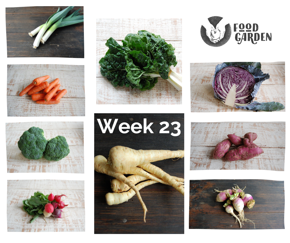 Week 23 - Red Cabbage, Parsnip, Celeriac, Silverbeet, Leek & Fennel