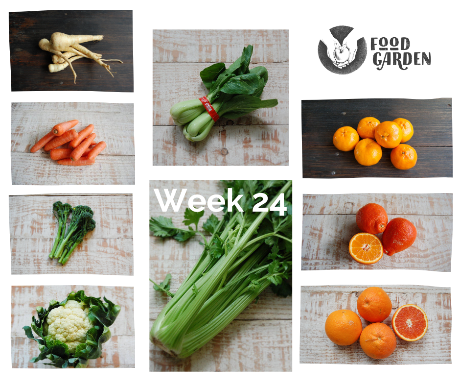 Week 24 - Jap Pumpkin, Sweet Potato, Parsnip, biodynamic Beetroot, Celery and Pak Choy
