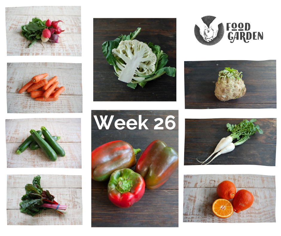 Week 26 - Capsicum, Zucchini, Celeriac, Beetroot, Parsnip, Silverbeet and Red Onions