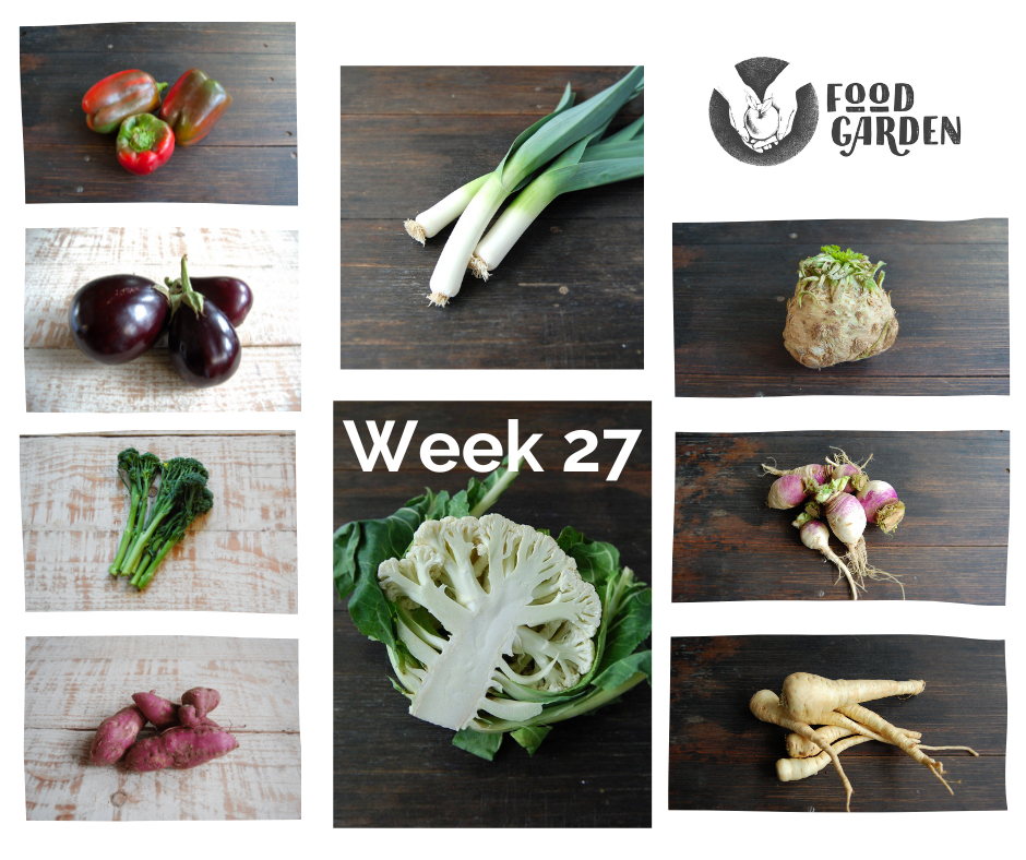 Week 27 - Leek, Kale, Broccolini, Celeriac, Parsnip, Baby Sweet Potato and Capsicum