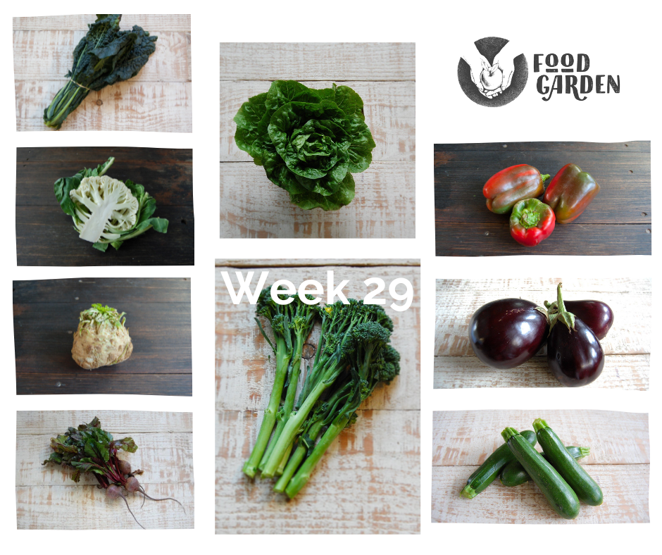 Week 29 - Broccolini bunches, Cauliflower, Celeriac, Turnip, Chat Potato and Baby Cos Lettuce
