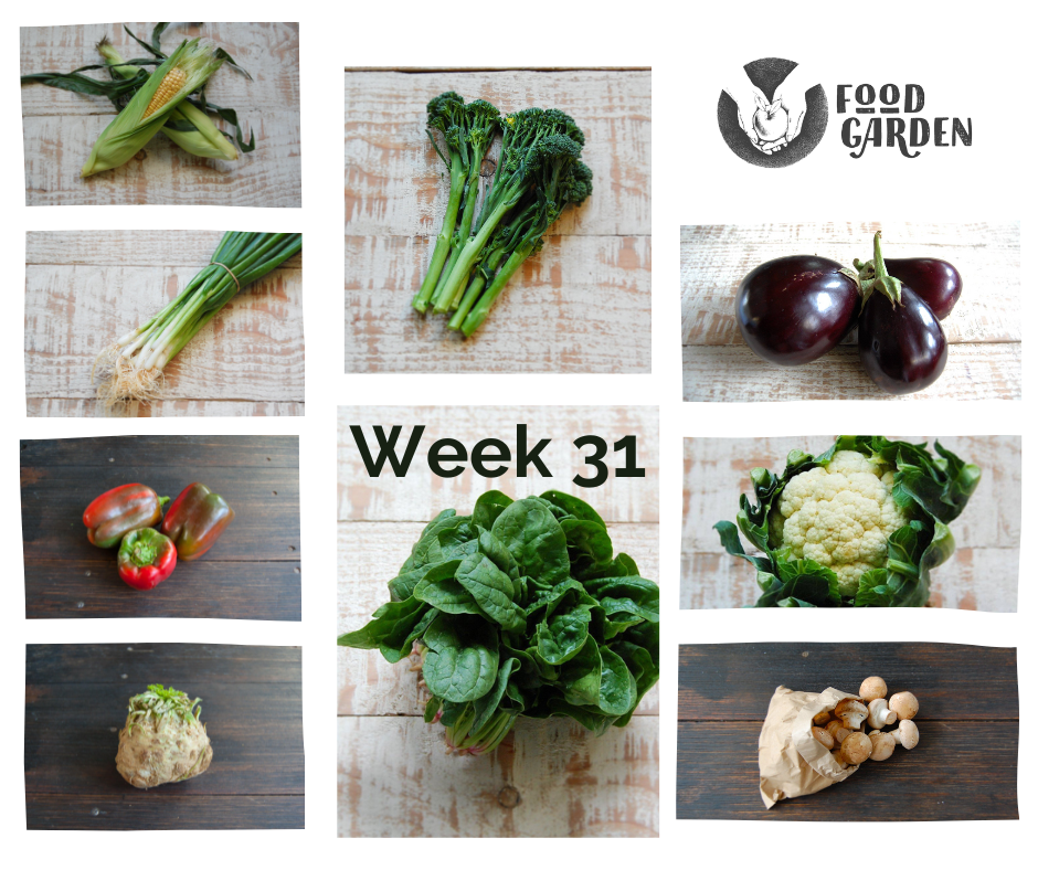 Week 31 - Sweet Corn, Spinach, Broccolini, Cauliflower, Chat Potato and Celeriac