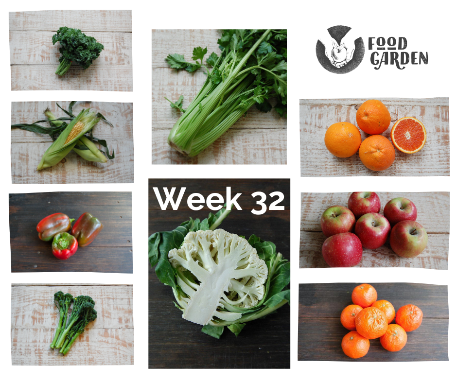 Week 32 - Cauliflower, Broccoli, Cabbage, Kale, Leek, Fennel & Beetroot