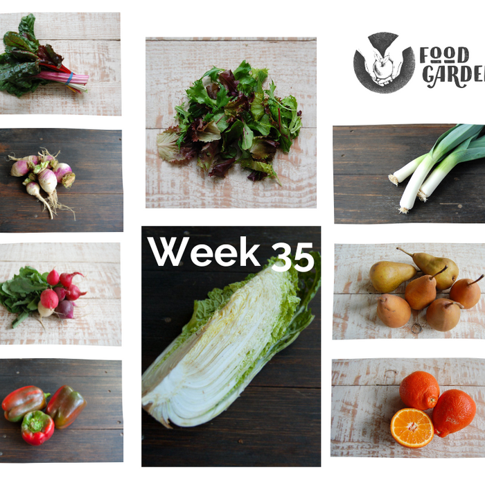 Week 35 - Wombok, Capsicum, Broccoli, Radish, Cos Lettuce, Rainbow Chard and Strawberries