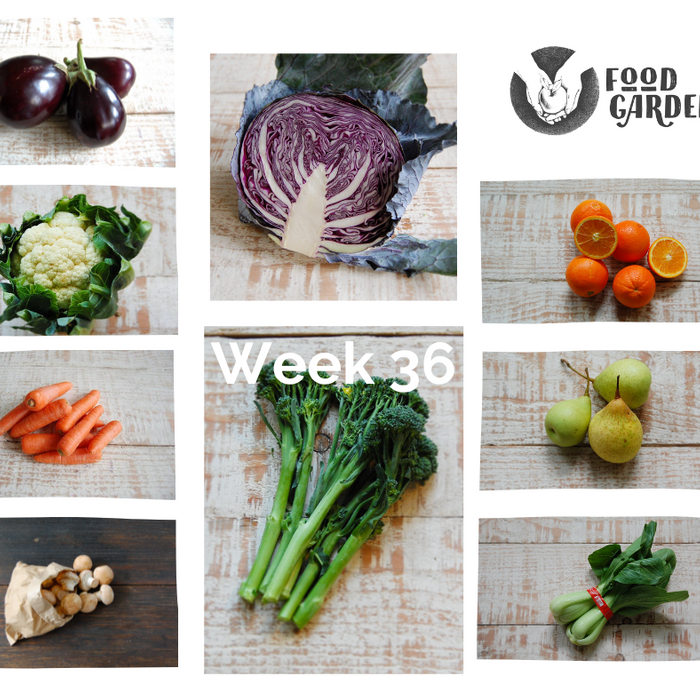 Week 36 - Broccolini, Red Cabbage, Pak Choy, Pumpkin, Beans, Strawberries and Tangelo