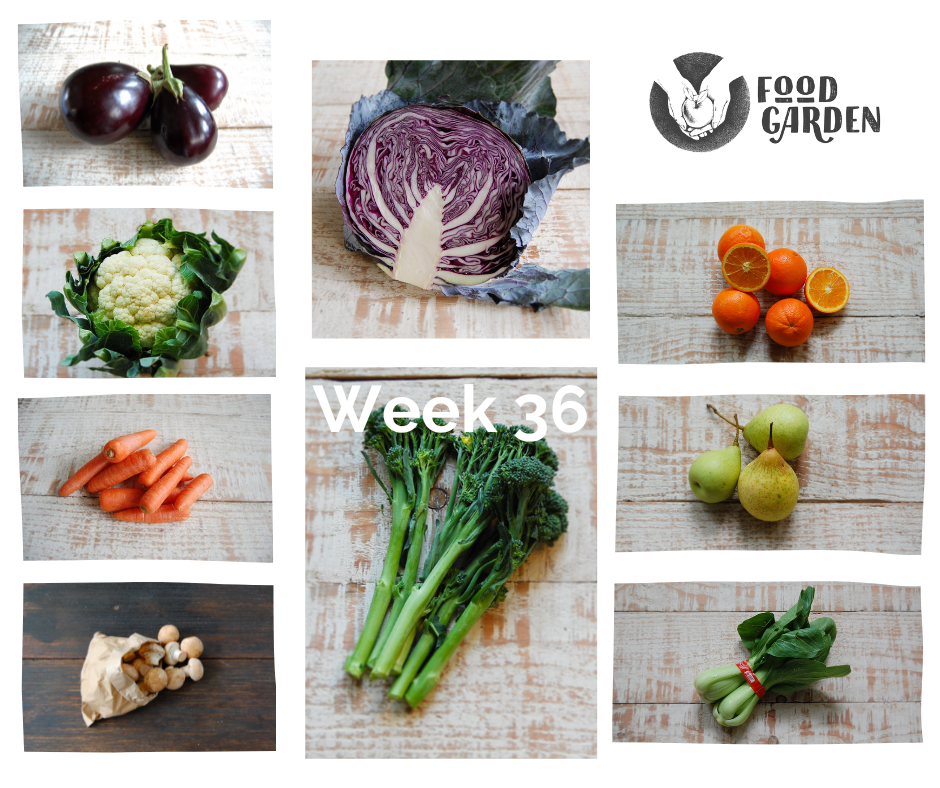 Week 36 - Broccolini, Red Cabbage, Pak Choy, Pumpkin, Beans, Strawberries and Tangelo