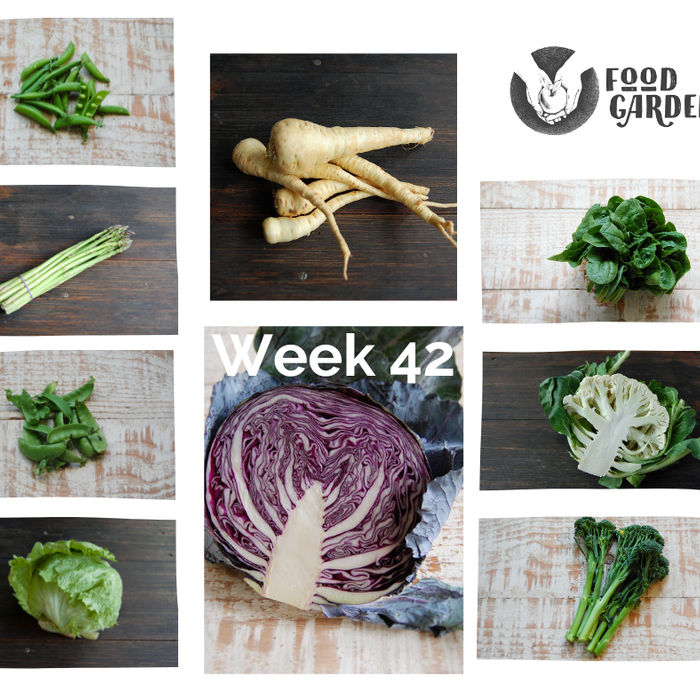 Week 42 - Snowpeas, Asparagus, Red Cabbage, Spinach bunches, Iceberg Lettuce and Avana Mandarins