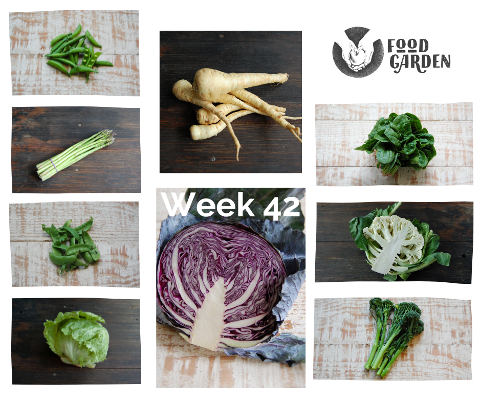 Week 42 - Snowpeas, Asparagus, Red Cabbage, Spinach bunches, Iceberg Lettuce and Avana Mandarins