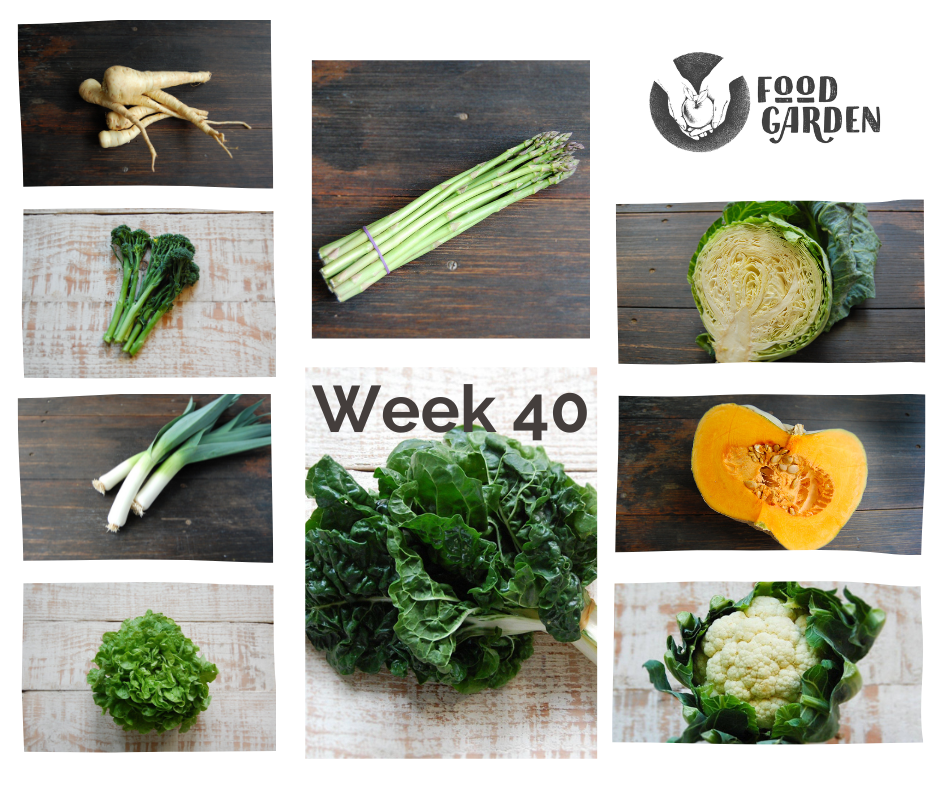 Week 40 - Leek, Silverbeet, Asparagus, Parsnip, Pumpkin, Broccoli and Avana Mandarins