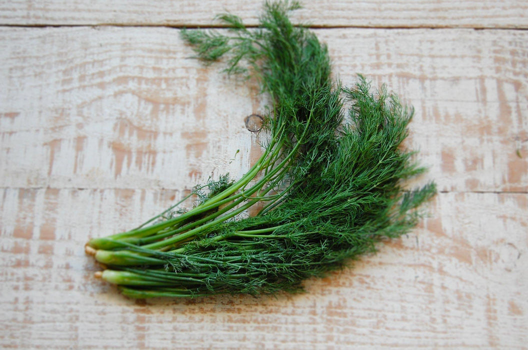 Herbs, Dill (bunch)