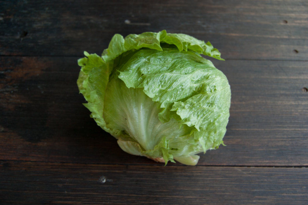 Lettuce, Iceberg