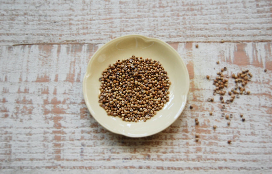 Coriander Seeds (50g)