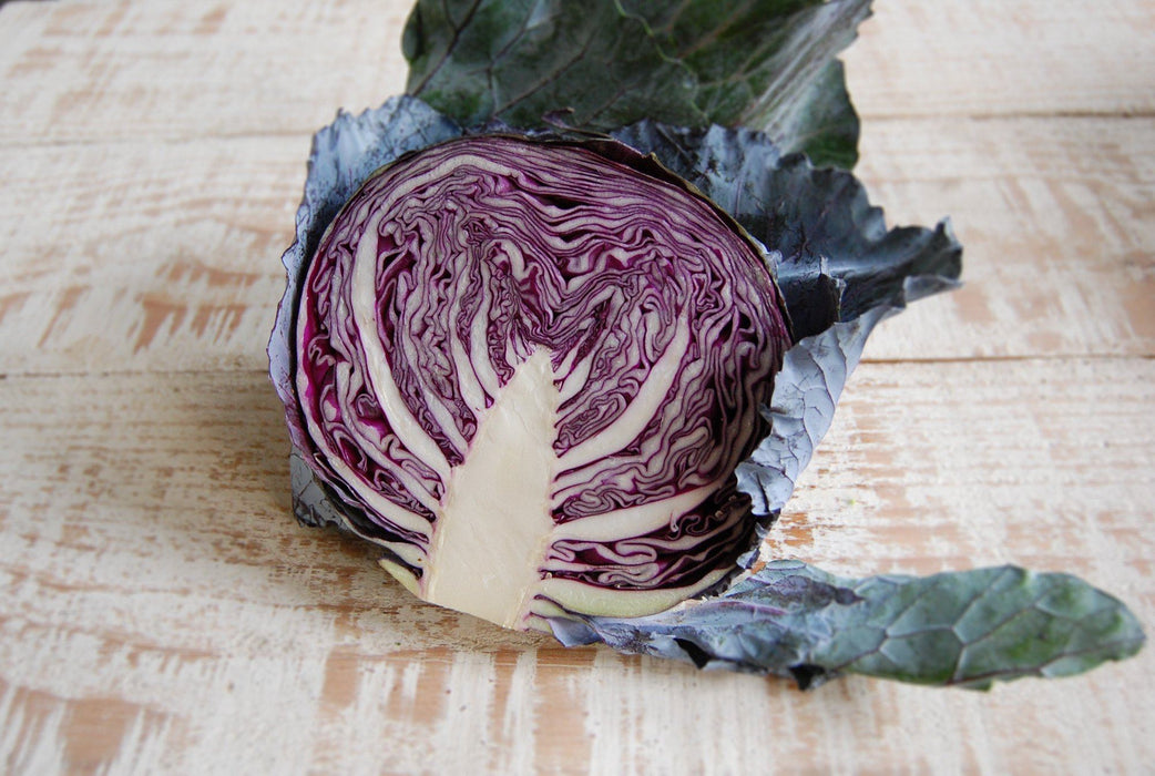 Cabbage, Red biodynamic (half)