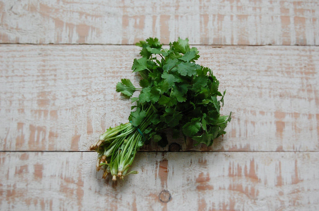 Herbs, Coriander (bunch)