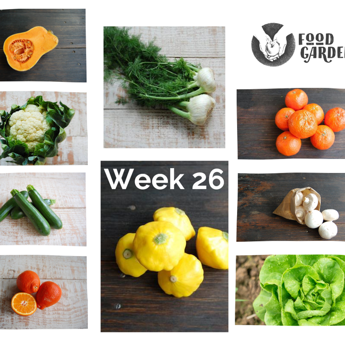 Week 26 - Eggplant, Zucchini, Baby Spinach, Sweet Corn, Navel Oranges and Tangelo