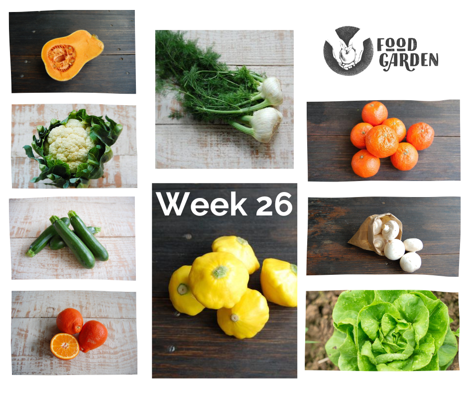 Week 26 - Eggplant, Zucchini, Baby Spinach, Sweet Corn, Navel Oranges and Tangelo