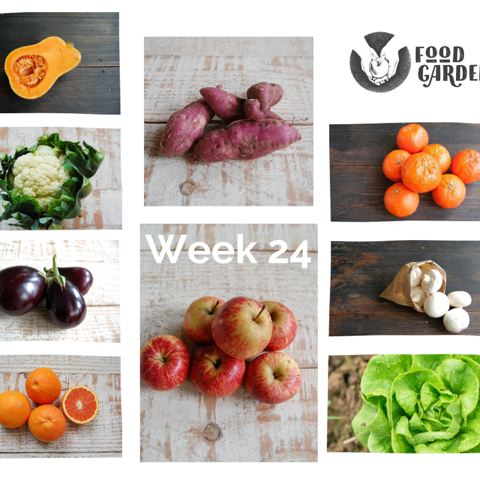Week 25 - Jap Pumpkin, Sweet Potato, Parsnip, biodynamic Beetroot, Celery and Pak Choy