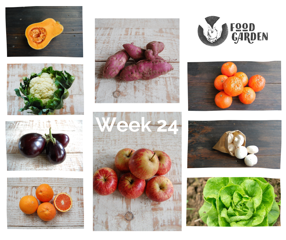 Week 25 - Jap Pumpkin, Sweet Potato, Parsnip, biodynamic Beetroot, Celery and Pak Choy