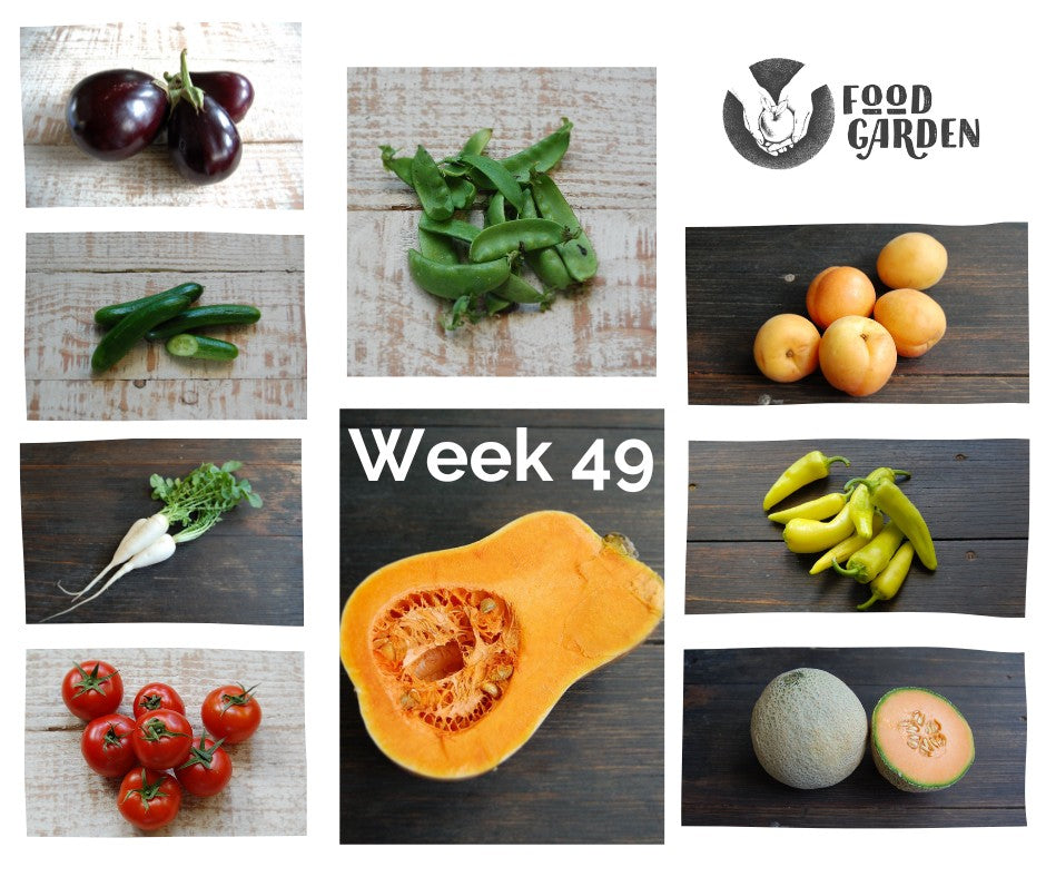 Week 49 - Butternut Pumpkin, Beetroot, Daikon Radish, Snow Peas, Bullhorns, Cauliflower and Tomato