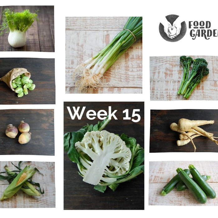 Week 15 - Cauliflower, Spring Onion, Sweet Potato, Sweet Corn, Parsnip and Swede