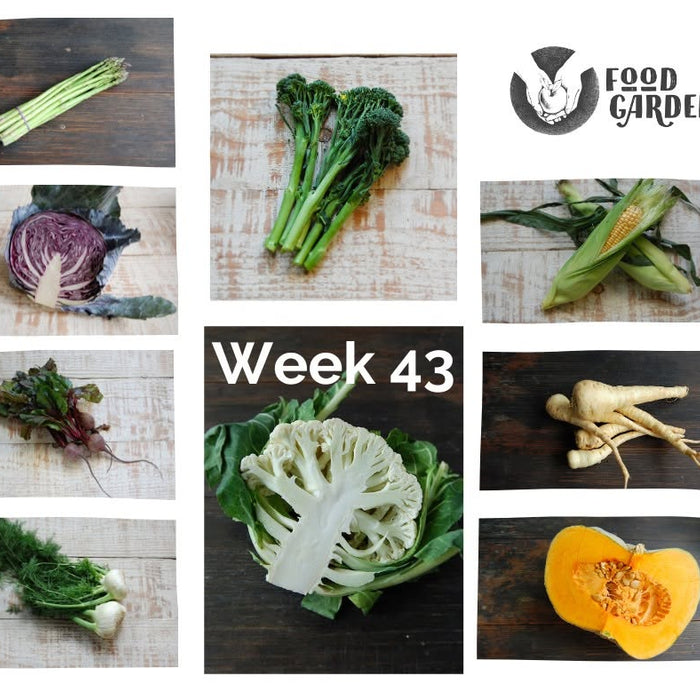 Week 43 - Snowpeas, Asparagus, Red Cabbage, Spinach bunches, Iceberg Lettuce and Avana Mandarins