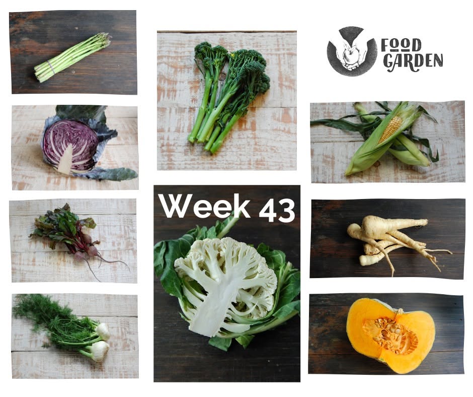 Week 43 - Snowpeas, Asparagus, Red Cabbage, Spinach bunches, Iceberg Lettuce and Avana Mandarins
