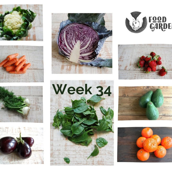 Week 34 - Cucumber, Tomato, Leek, Broccolini and Grapefruit