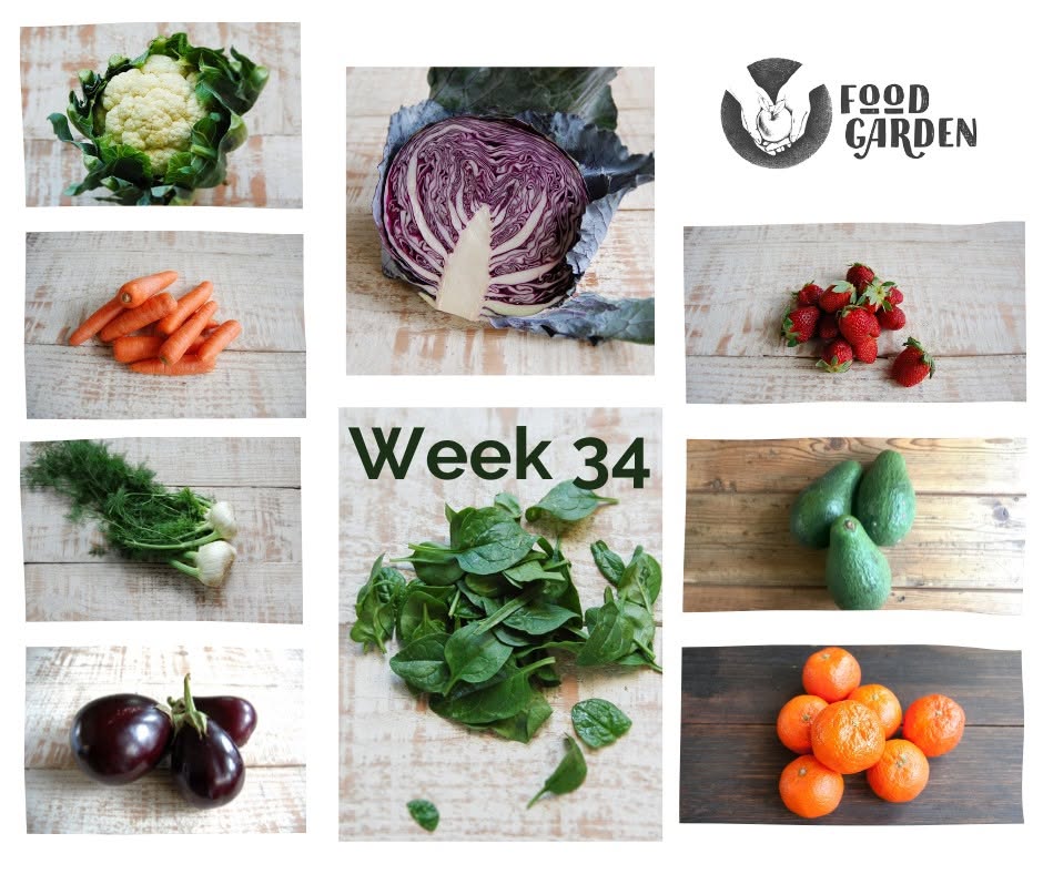Week 34 - Cucumber, Tomato, Leek, Broccolini and Grapefruit