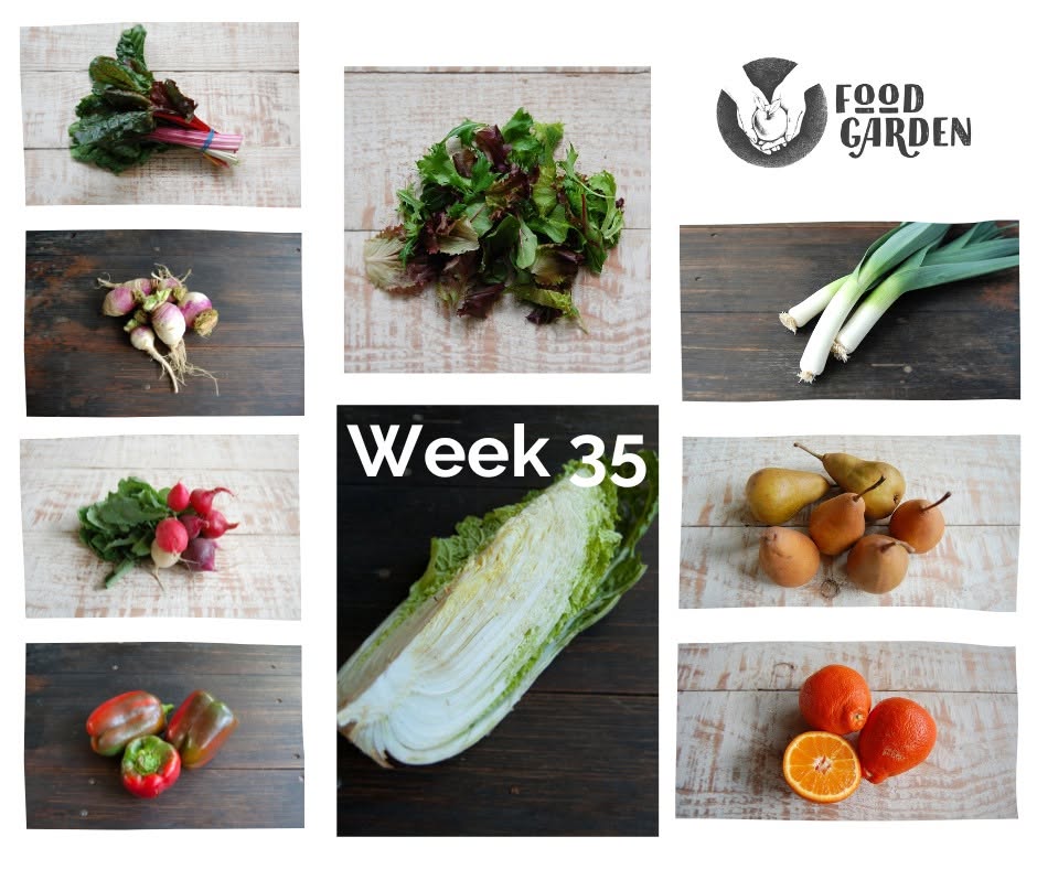 Week 35 - Beans, Fennel, Wombok, Eggplant, Capsicum and Daisy Mandarins