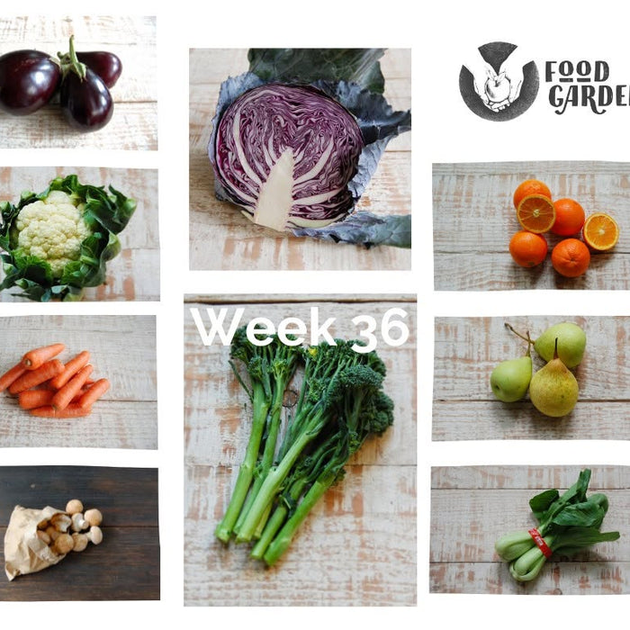 Week 36 - Broccolini, Red Cabbage, Pak Choy, Pumpkin, Beans, Strawberries and Tangelo