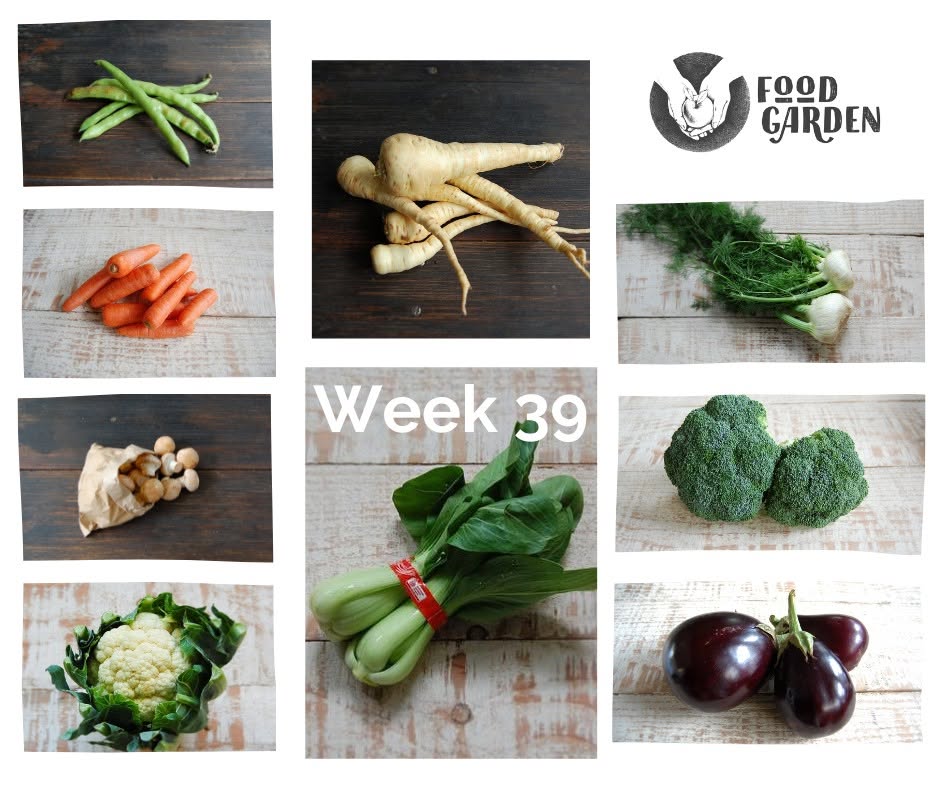 Week 39 - Beetroot, Mushrooms, Broad Beans, Asparagus, Broccolini, Parsnip, Avocado & Tangelo