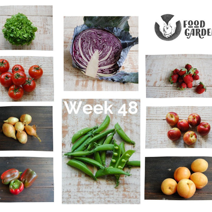 Week 48 - Sugar Snaps, Carrots, Broccoli, Oak Lettuce, Red Cabbage, Tomato and Strawberries