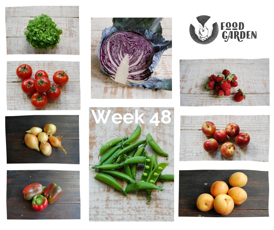 Week 48 - Sugar Snaps, Carrots, Broccoli, Oak Lettuce, Red Cabbage, Tomato and Strawberries
