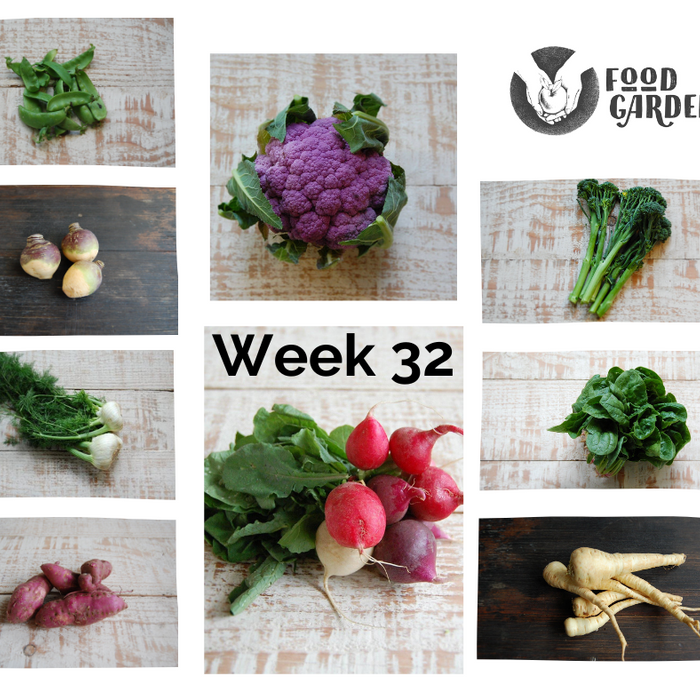 Week 32 -Fennel, Radish, Swede, Purple Cauliflower, Jazz Apple, Grapefruit and Cara Cara