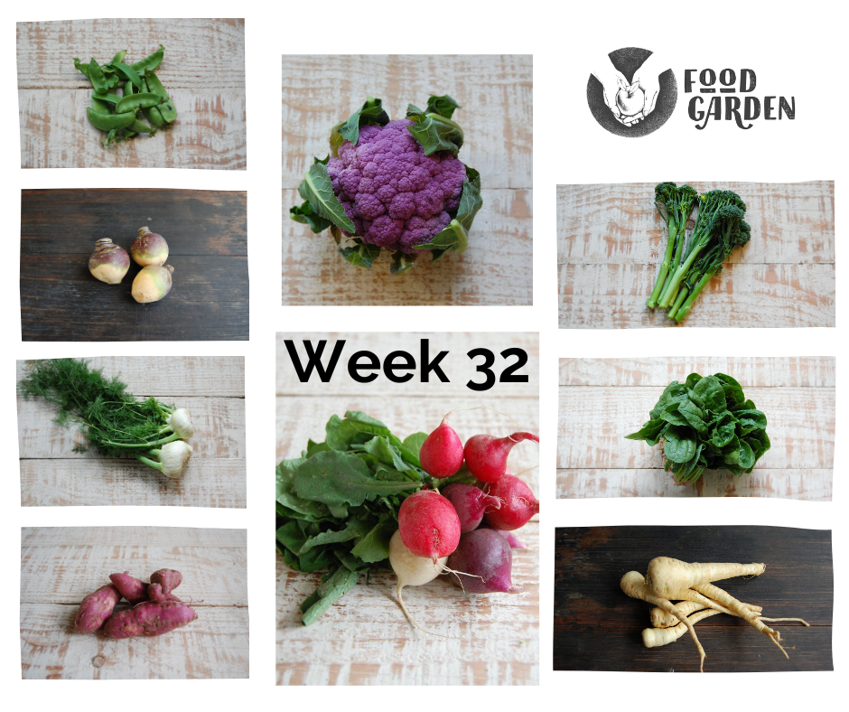 Week 32 -Fennel, Radish, Swede, Purple Cauliflower, Jazz Apple, Grapefruit and Cara Cara