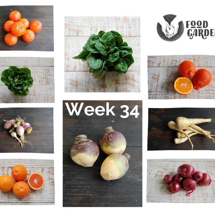 Week 34 - Tangelo Nets, Cara Cara, Afourer Mandarin, and Red Grapefruit