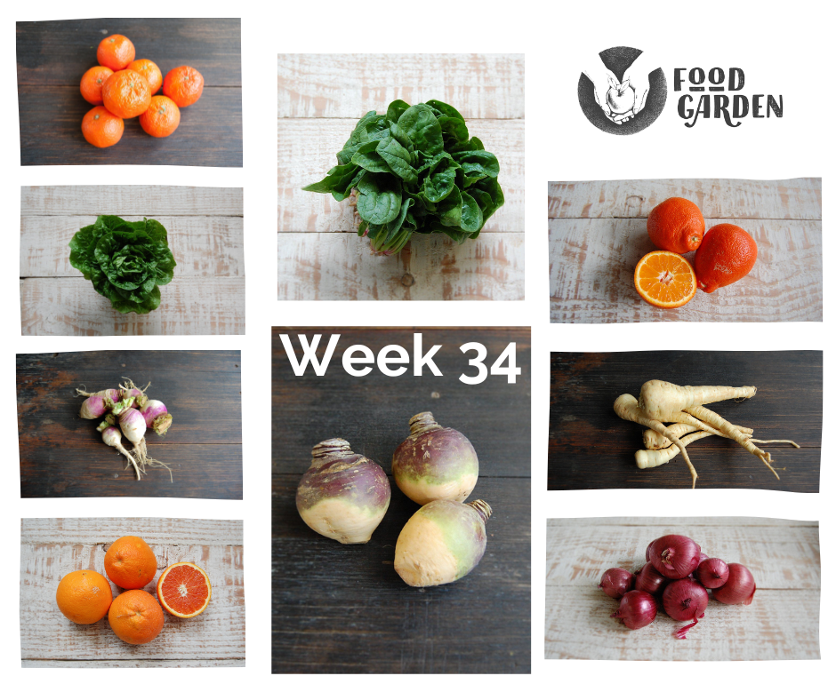 Week 34 - Tangelo Nets, Cara Cara, Afourer Mandarin, and Red Grapefruit