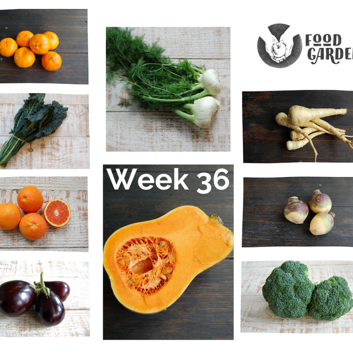 Week 36 - Shelling Peas, Butternut Pumpkin, Snow Peas, Eggplant, Fennel, Kale and Avocado