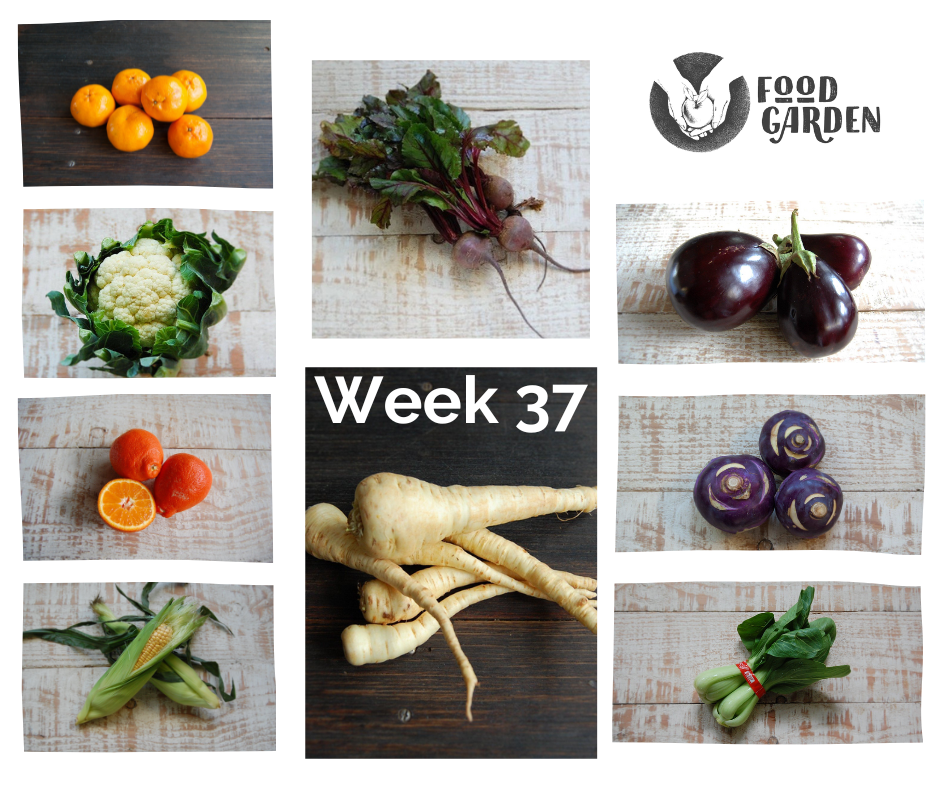 Week 37 - Blood Orange, Afourer Mandarin, Daisy Mandarin and Tangelo