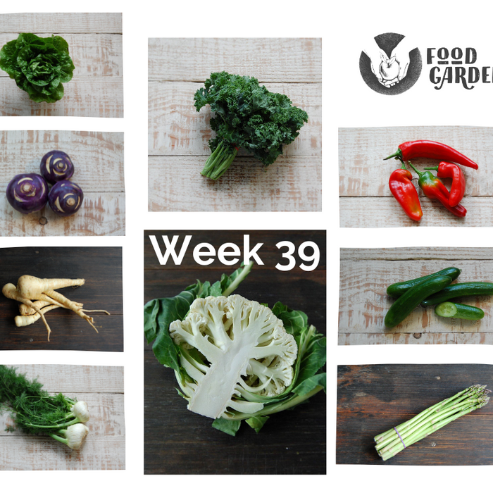 Week 39 - Asparagus, Curly Kale, Bullhorn Capsicum, Fennel and Pink Grapefruit
