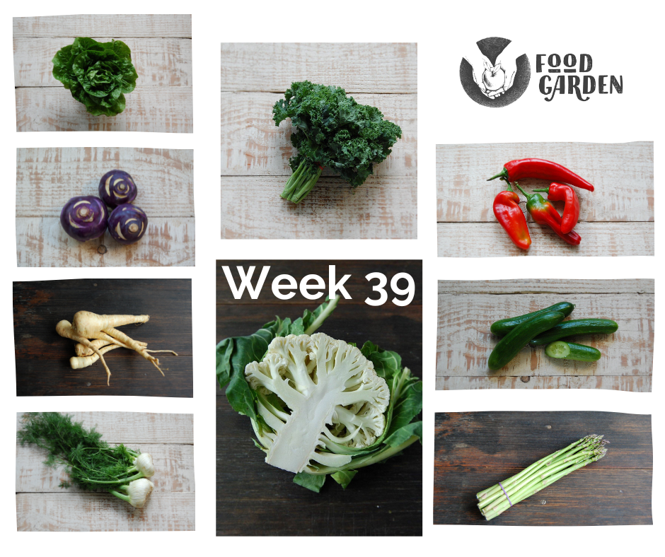 Week 39 - Asparagus, Curly Kale, Bullhorn Capsicum, Fennel and Pink Grapefruit