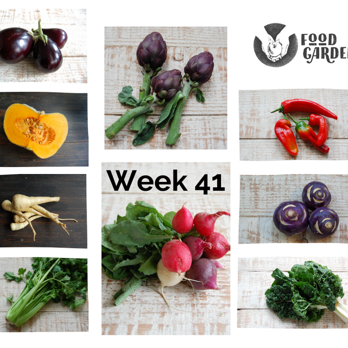 Week 41 - Artichokes, Radish, Broad Beans, Cos Lettuce, Fennel, Pink Grapefruit and Mango