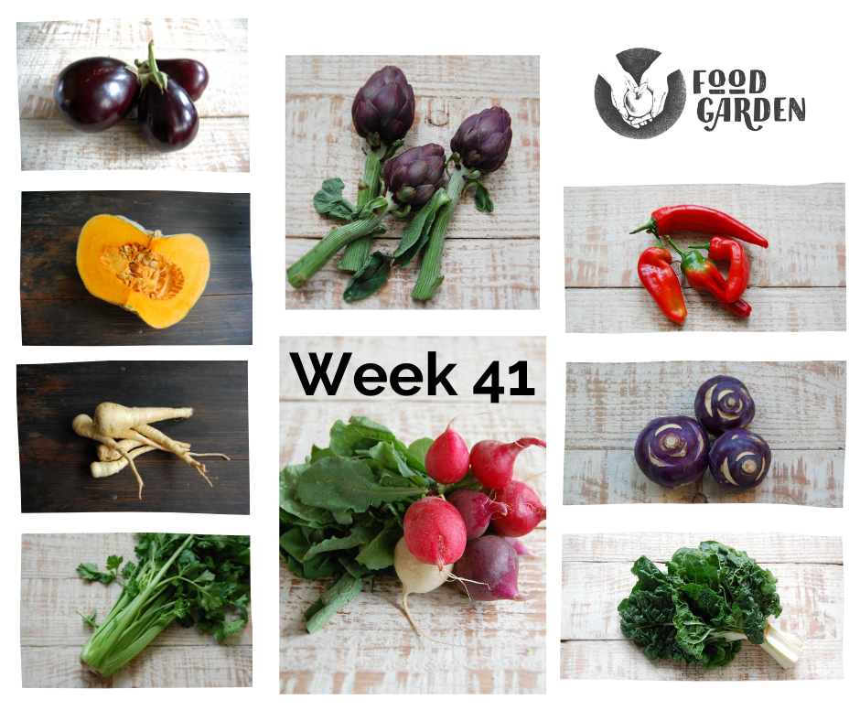 Week 41 - Artichokes, Radish, Broad Beans, Cos Lettuce, Fennel, Pink Grapefruit and Mango