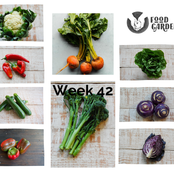 Week 42 - Bullhorn Capsicum, Red Cabbage, Purple Broccolini, Artichokes, Cos Lettuce and Pink Grapefruit